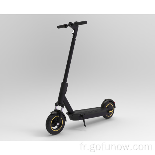 Scooters électriques GPS GOFUNOW Batterie amovible